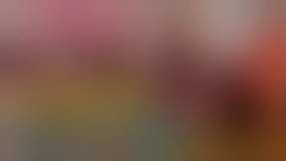 Rajasthani couple viral video | Rajasthan viral video // Instagram viral reels expose !!