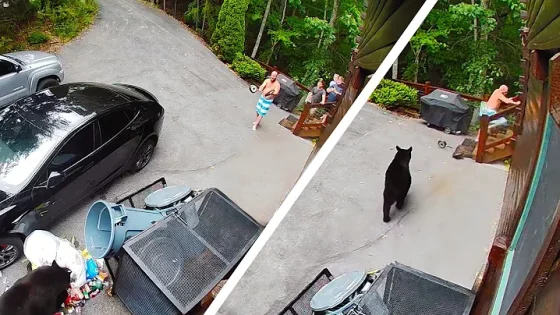 2025 TikTok Rewind Most Viral Funny Videos of the Year