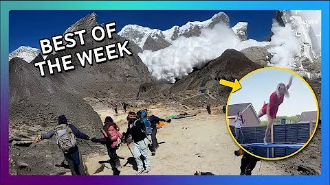 This Week's Most VIRAL Videos!